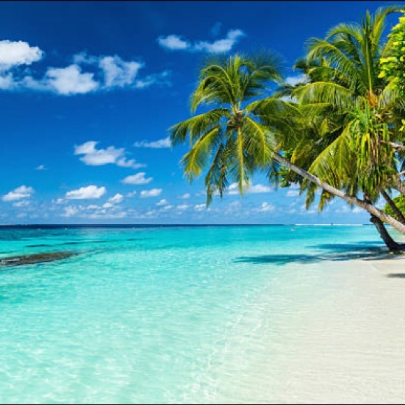 I’m on a well-deserved vacation! - Picture 2 of 3